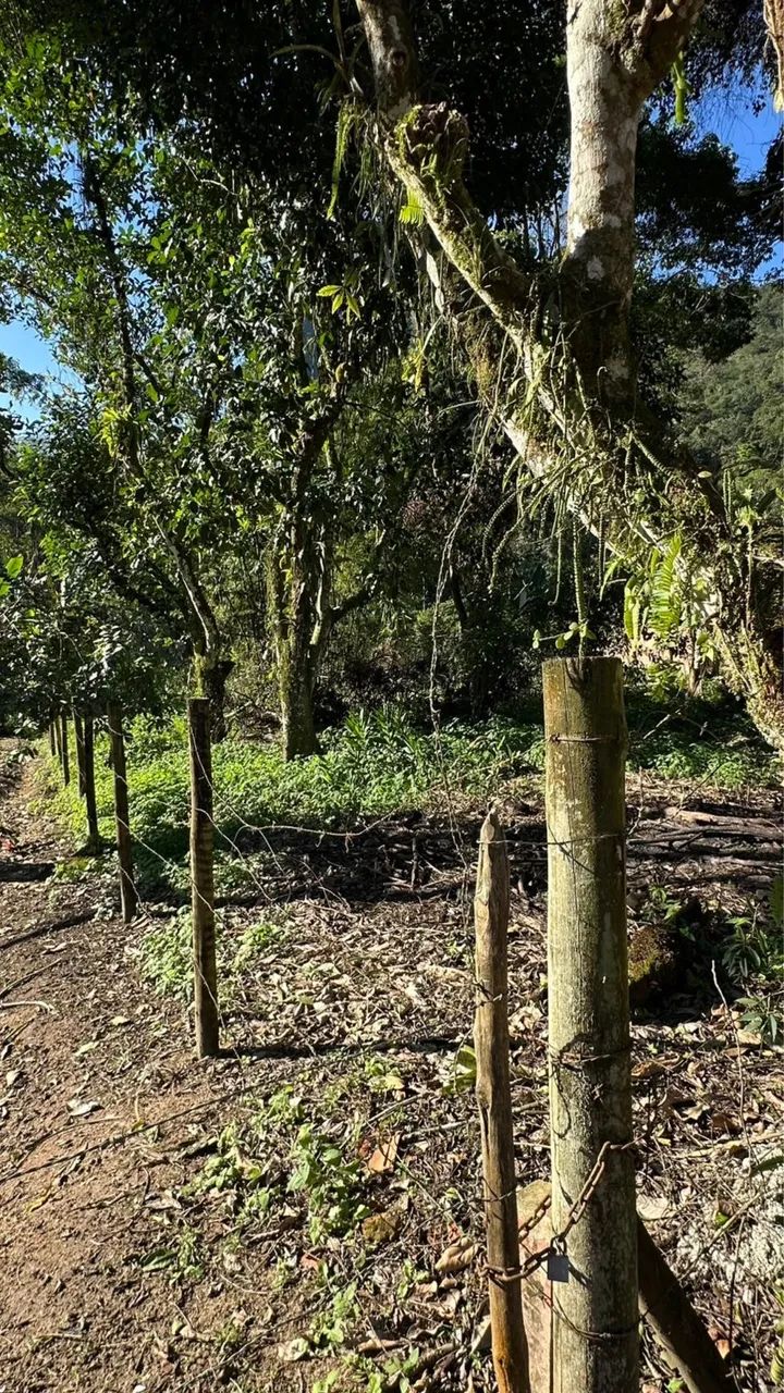 Vendo lote Cond.Ouro Verde - Foto 2
