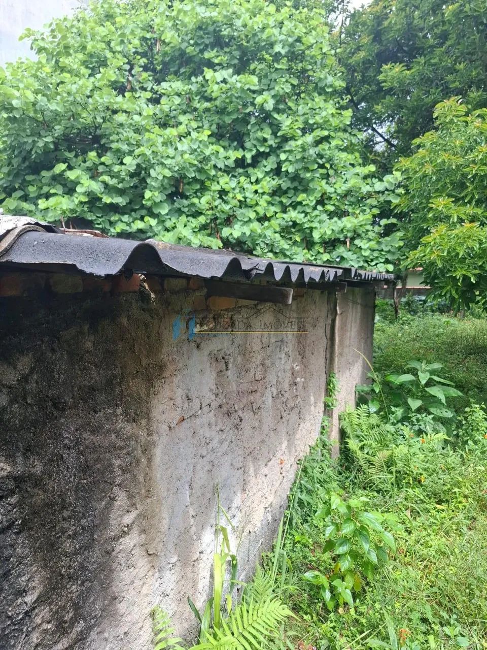 Terreno em Vila BELA - São Paulo - Foto 3