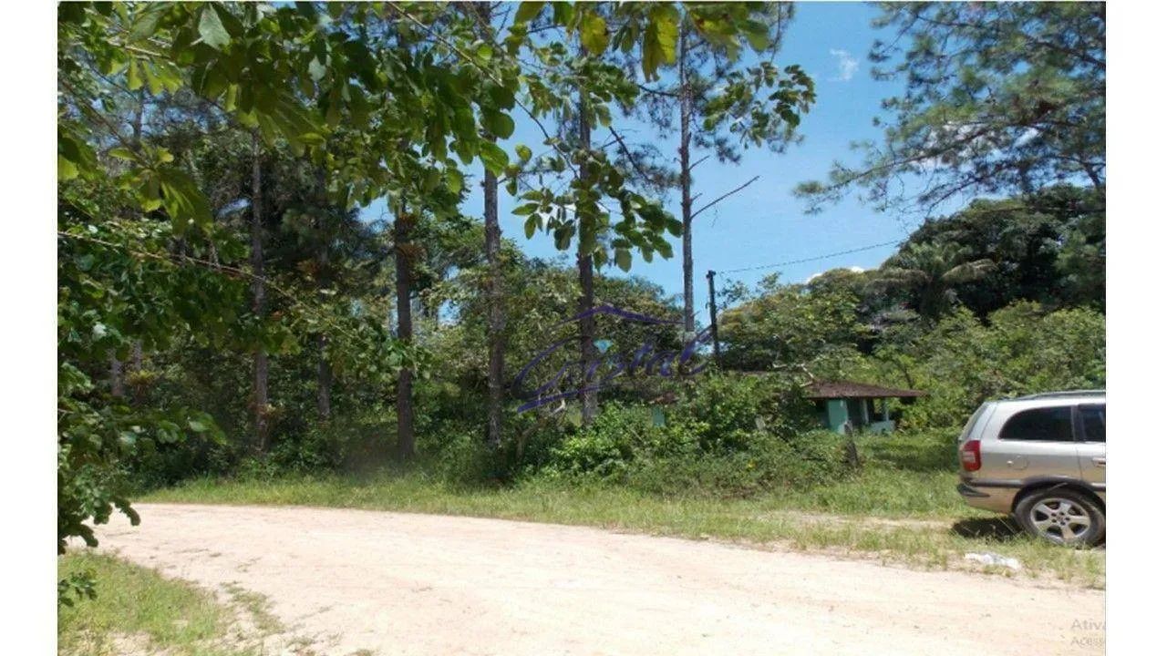 Excelente Sítio em Juquiá! - Foto 2