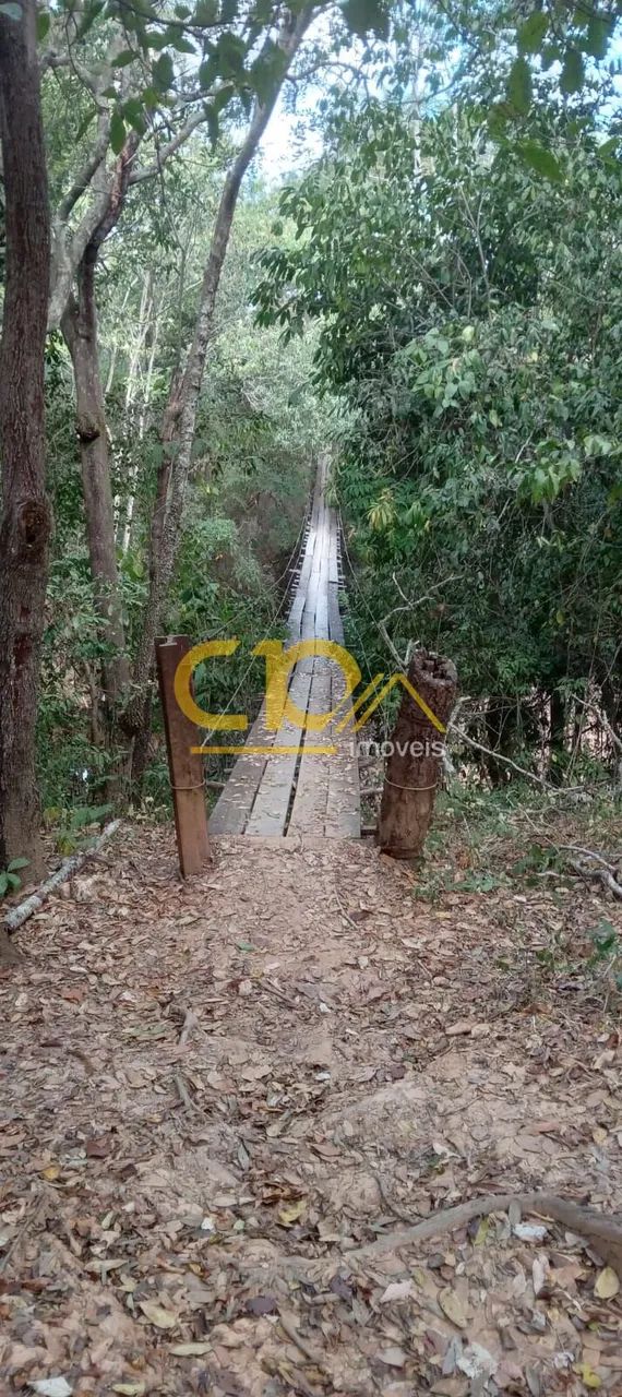 Terreno oportunidade, com pomar, arvores nativas. - Foto 3