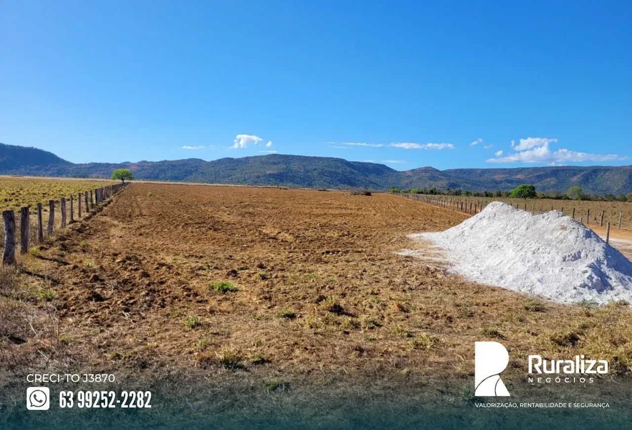 Fazenda a venda em Brejinho de Nazaré | Argilosa | Curral para 1.000 cabeças - Foto 5