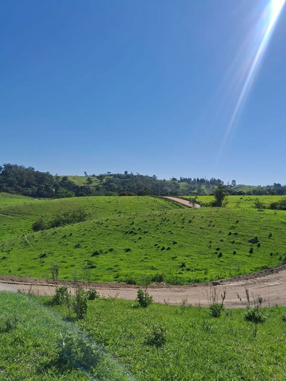 Foto - Sorocaba - Jardim Josane