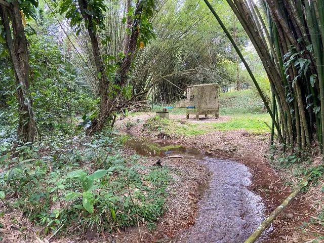VENDO Chácara com 6,5 hectares - Foto 2