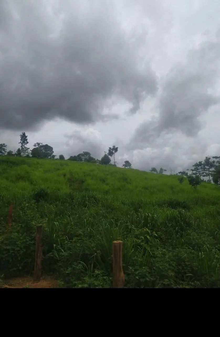 Terra de 5 alqueiros com 4 de capim formado  - Foto 3