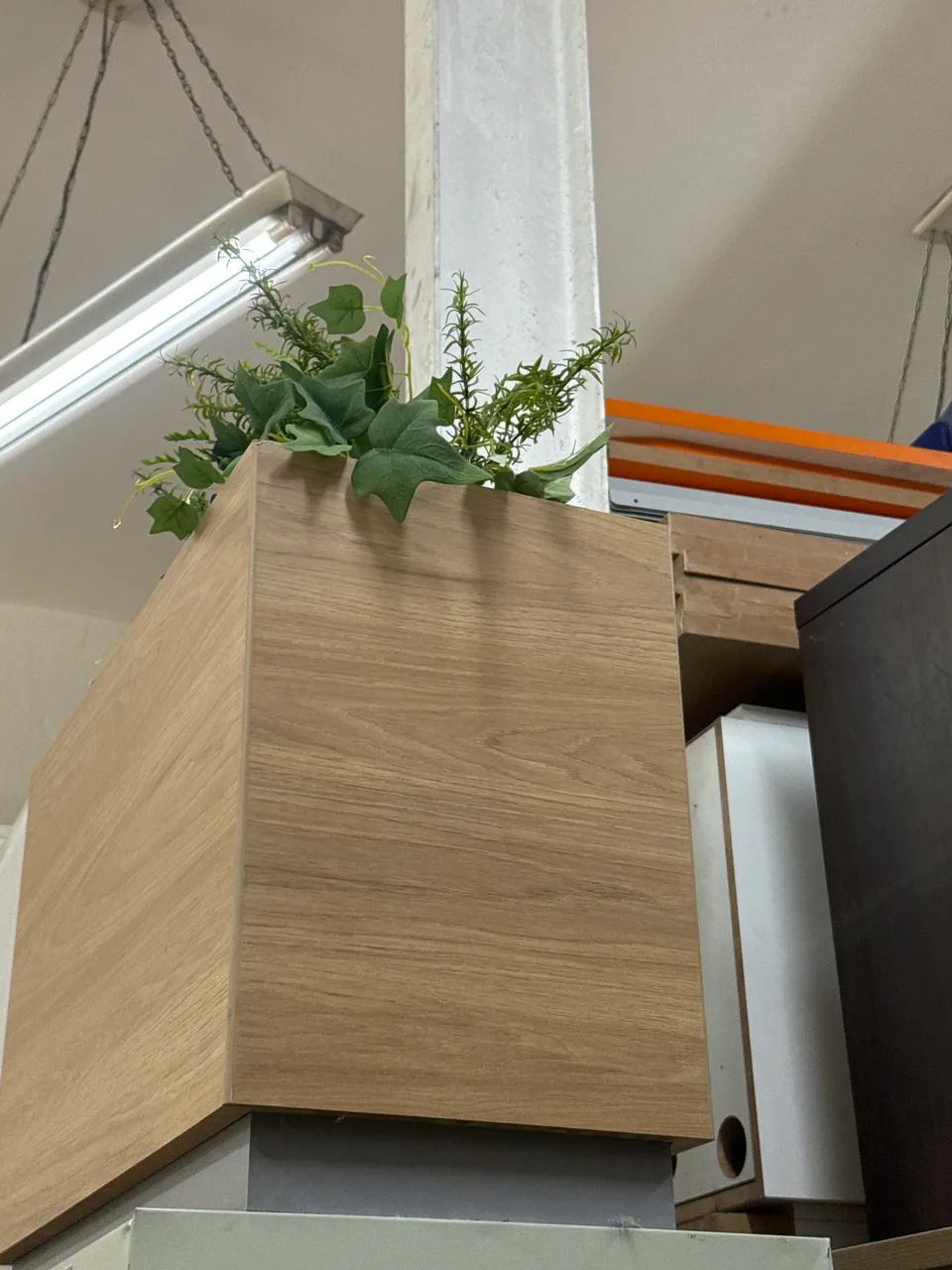 Vasos com plantas  - Foto 3