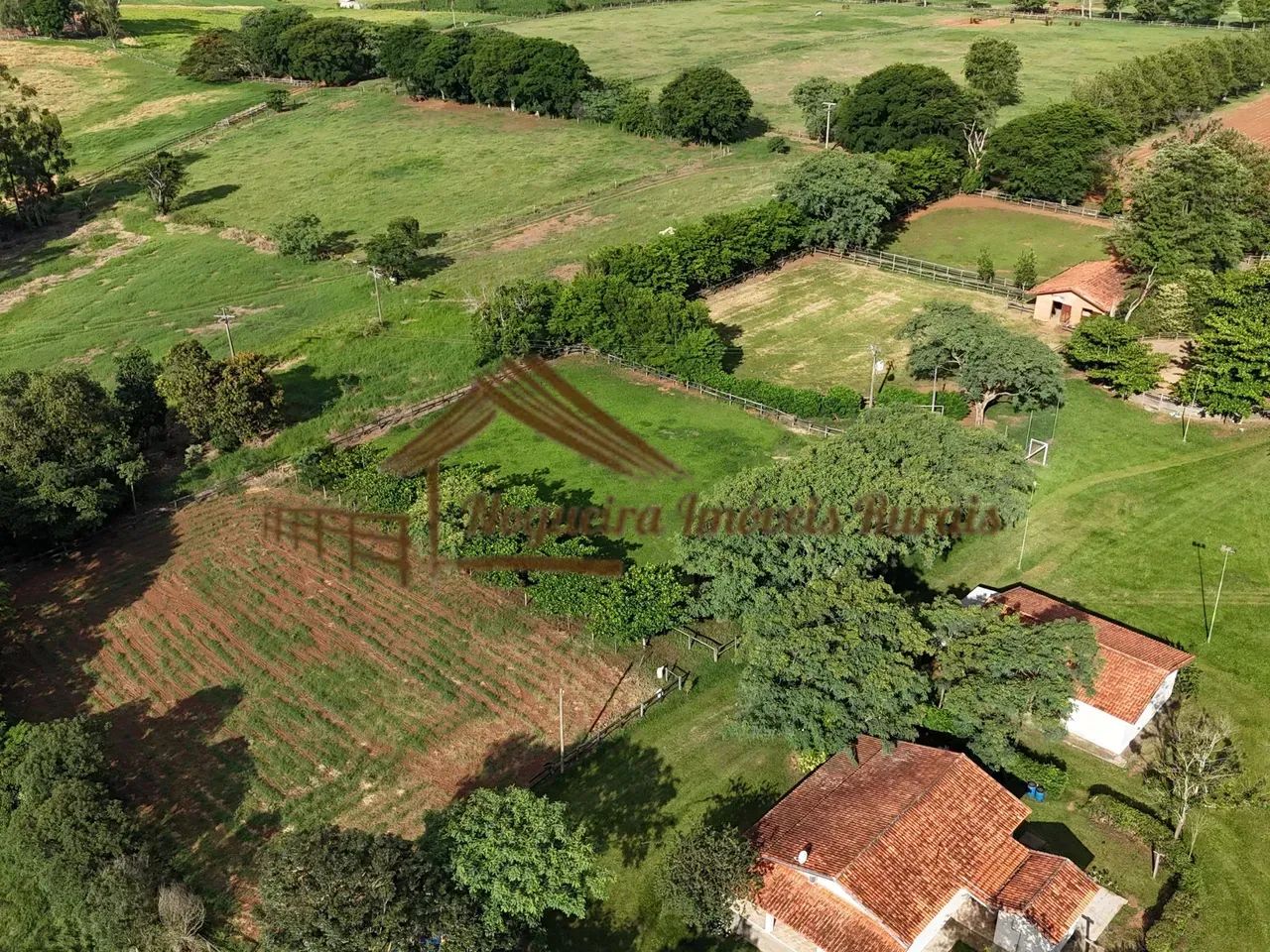 Haras na região de Cesário Lange-SP - Foto 3