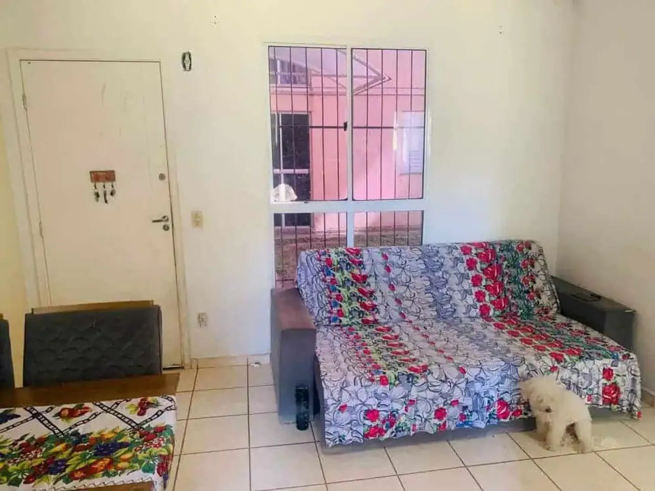 Apartamento - Foto 2