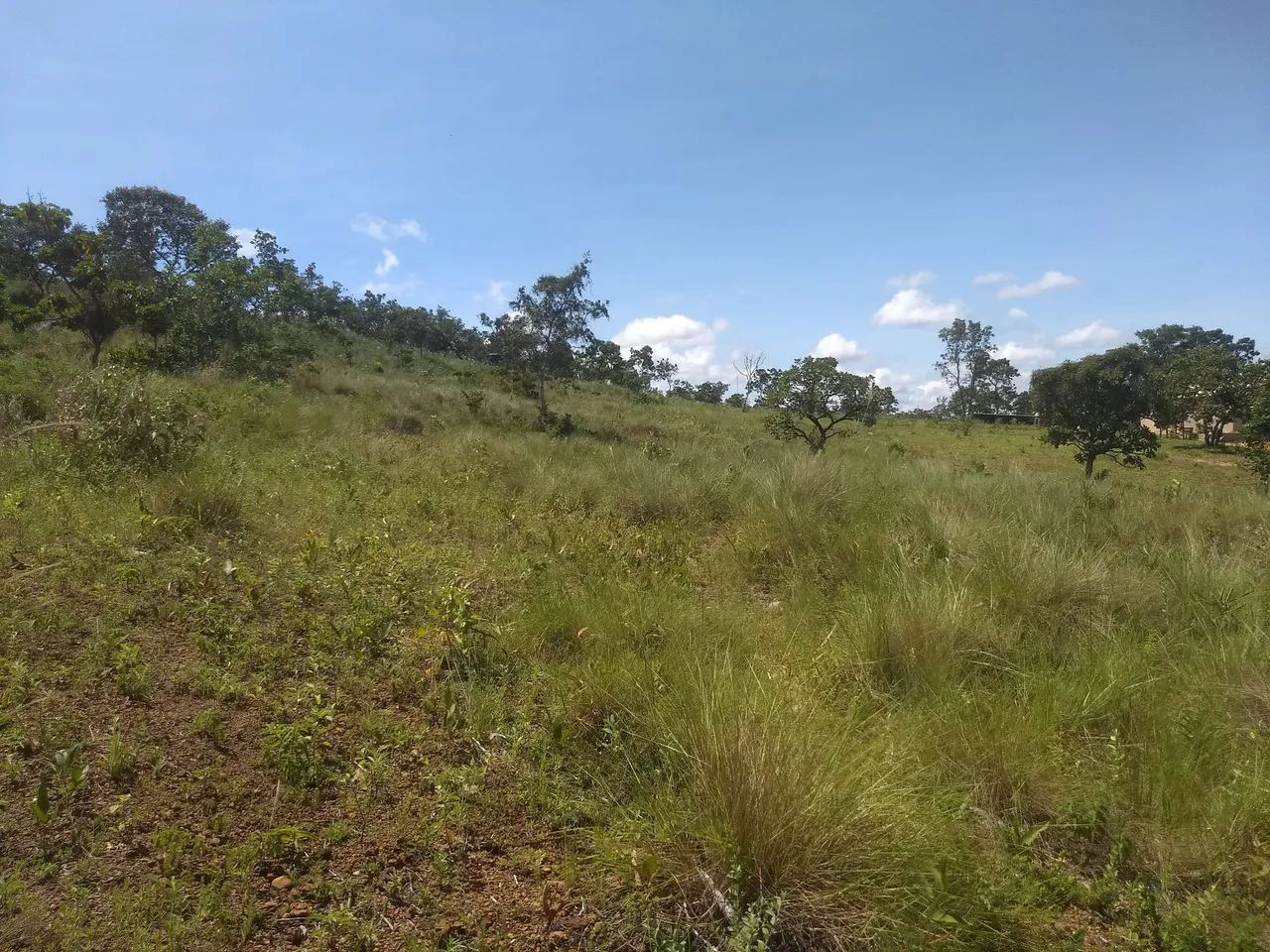 Terreno de 1.000mtrs em três Marias  - Foto 2
