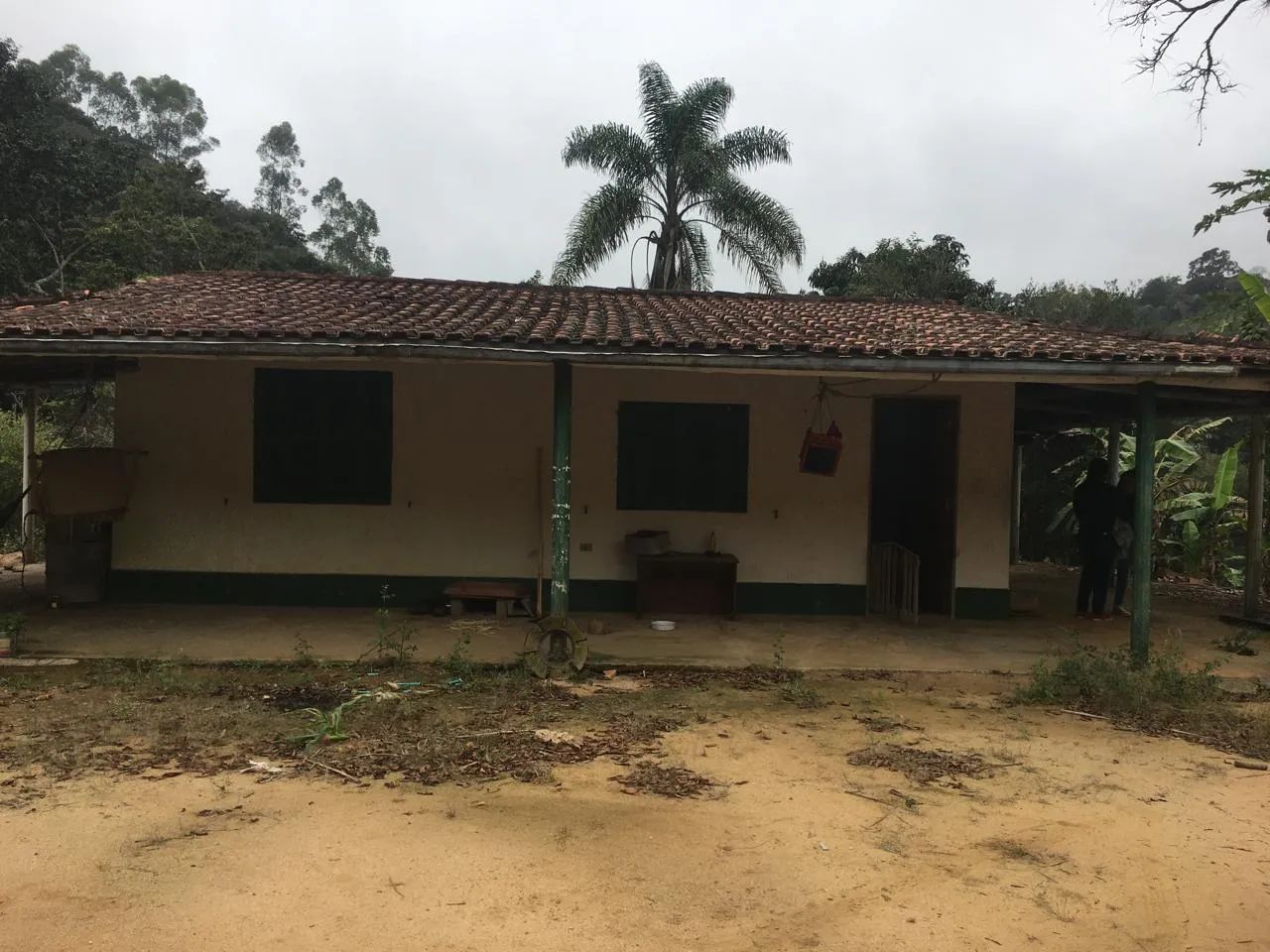 VENDO SITIO 3 ALQUEIRES EM NATIVIDADE DA SERRA ( 4291 ) - Foto 4