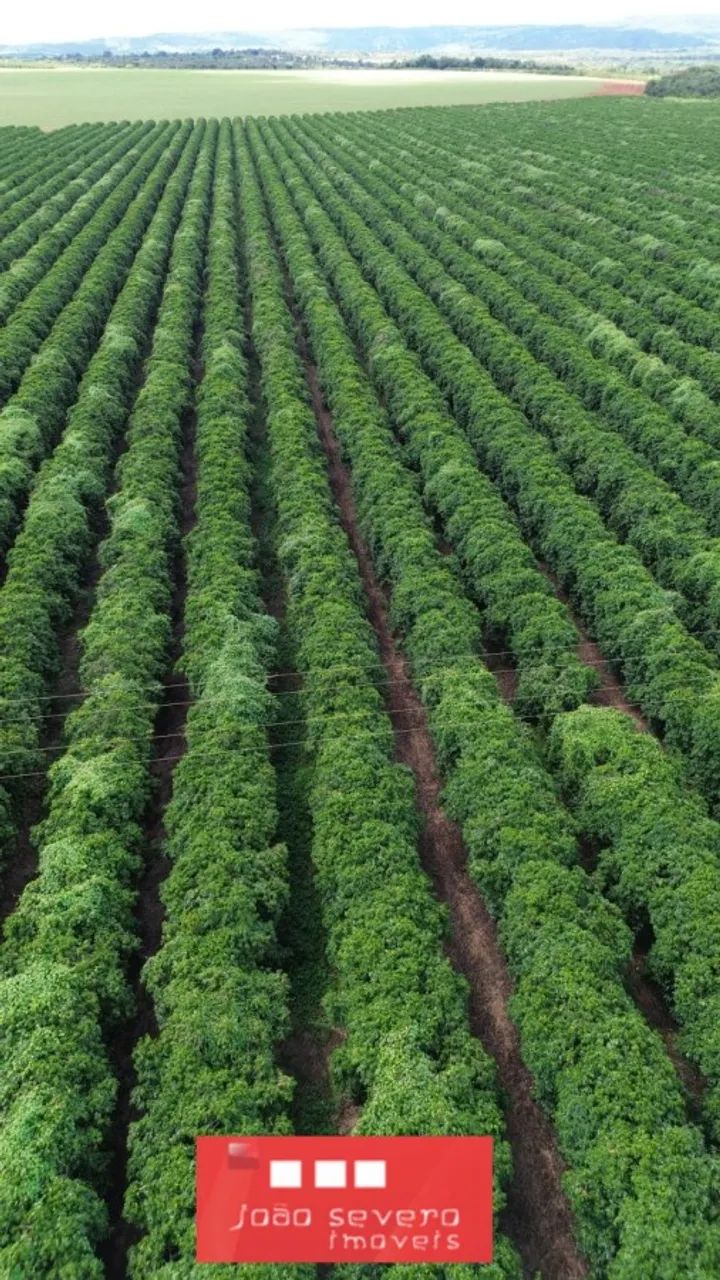 Fazenda para Venda em Patos de Minas
