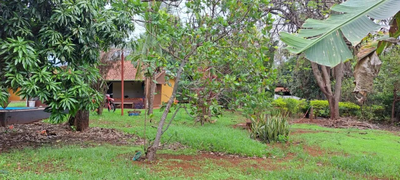 Chácara de 150m² com 02 quartos e 3.000m² à venda - Brodowski - Foto 5