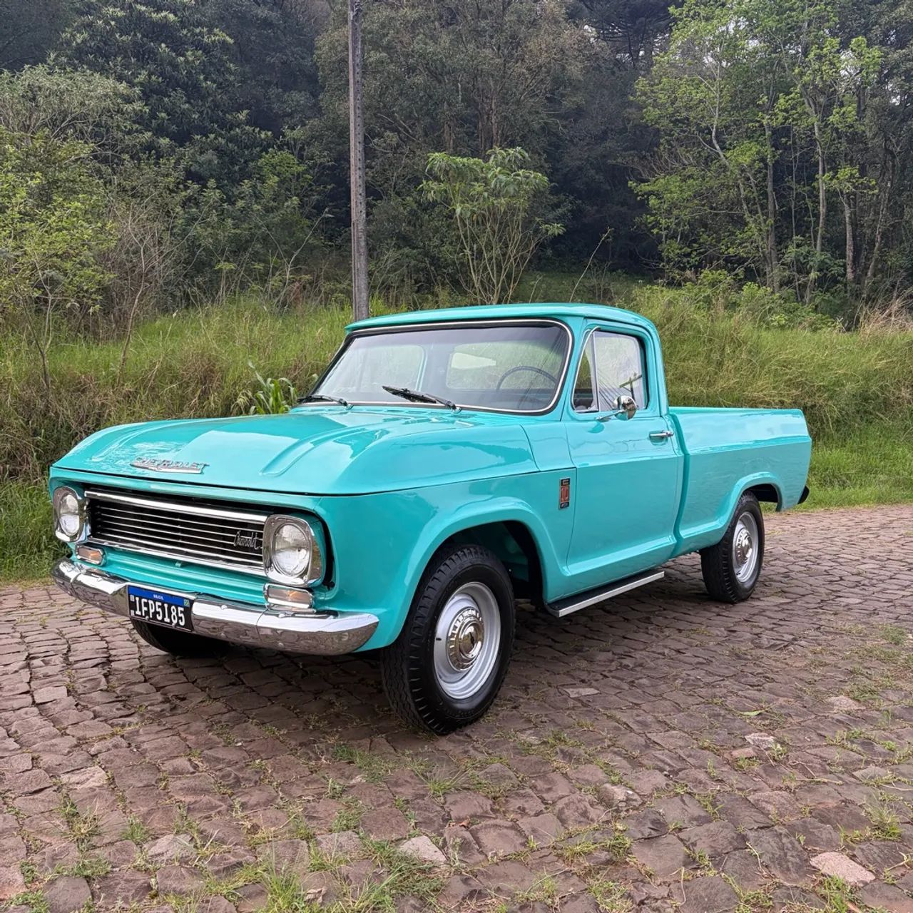 Chevrolet C-10 2.5/4.1 1976