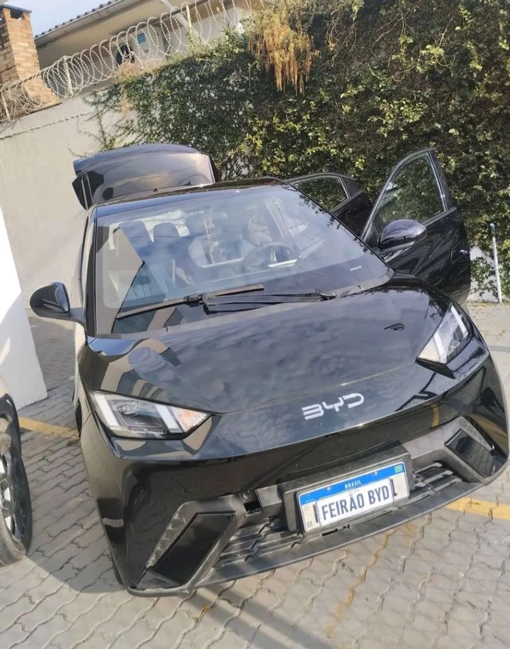 BYD Dolphin Mini (Elétrico) 2025