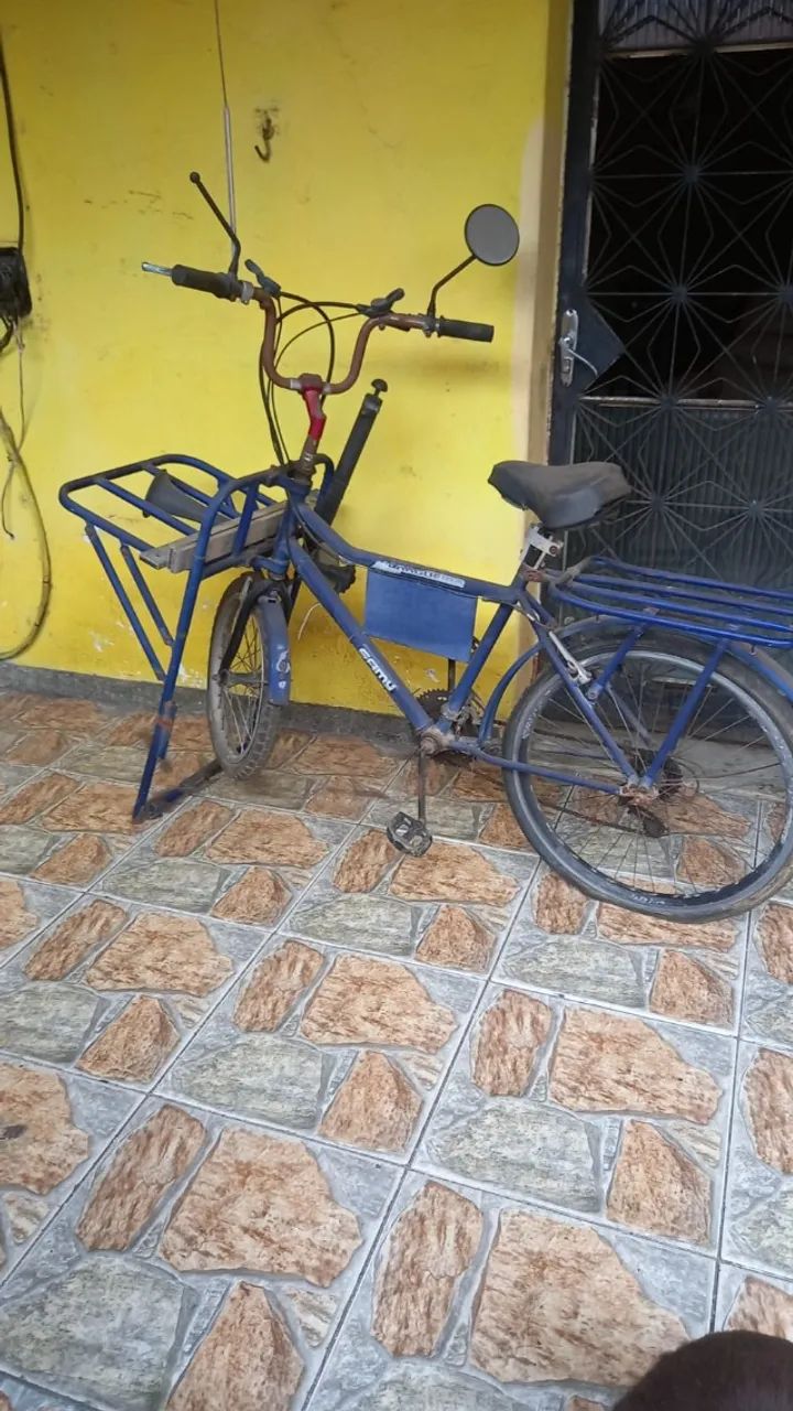 Bicicleta de Carga - Foto 2