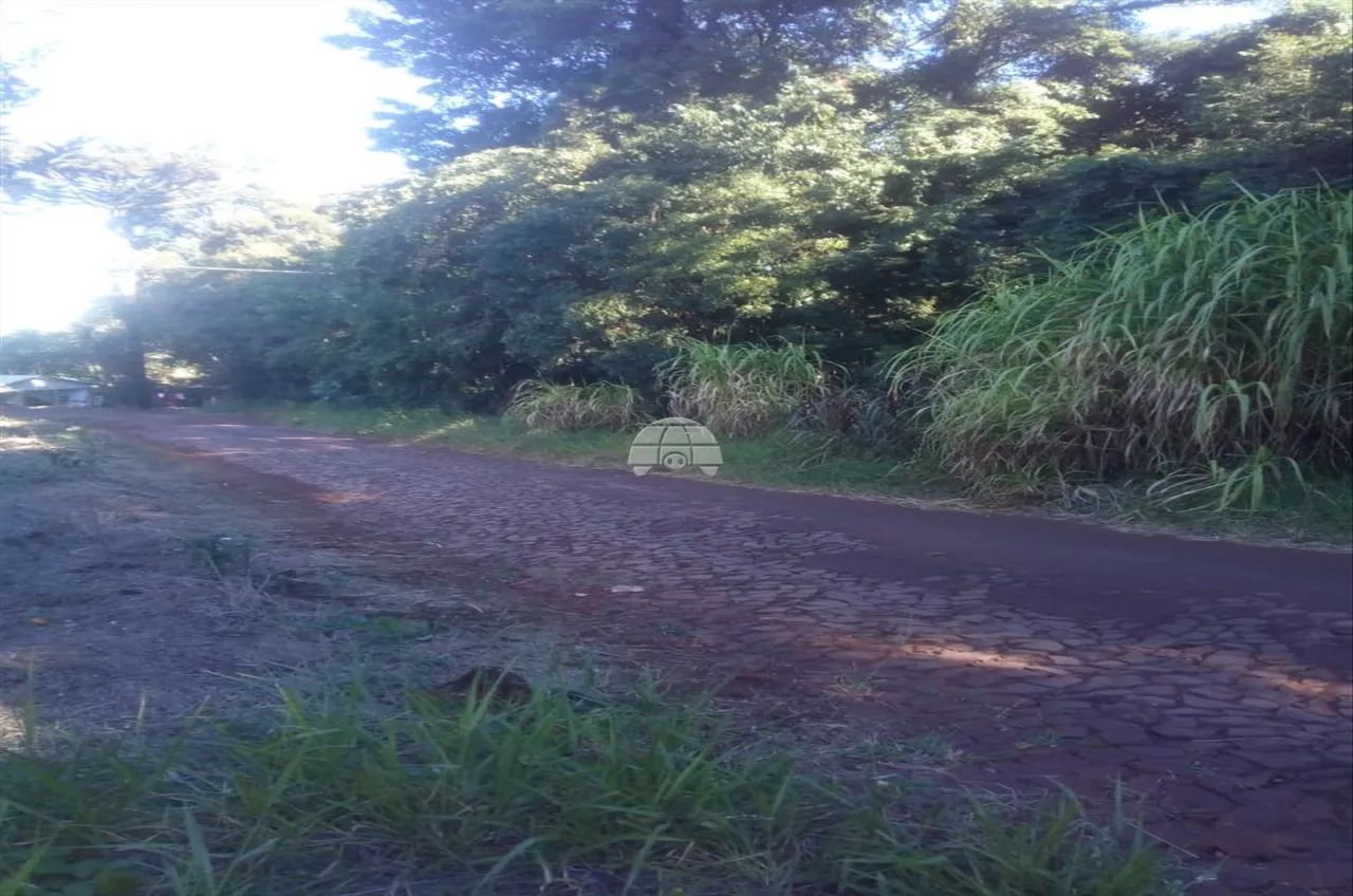 Vendas Terreno Coronel Vivida PR - Foto 2