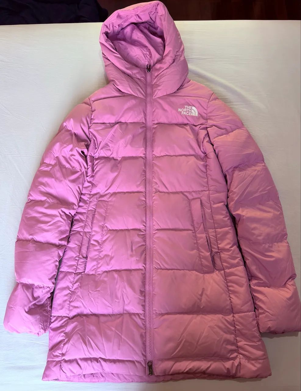Jaqueta the north face 