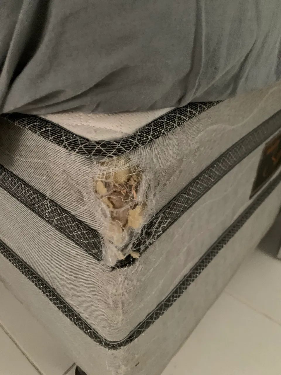 Cama Box de Solteiro Conjugada - Troco Por Frete - Foto 4