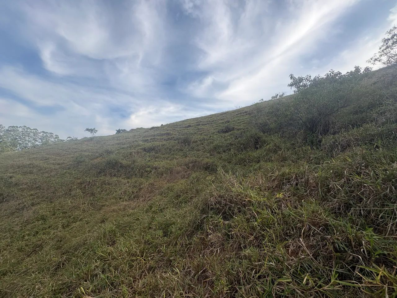 Vendo terreno em pendanga  - Foto 5
