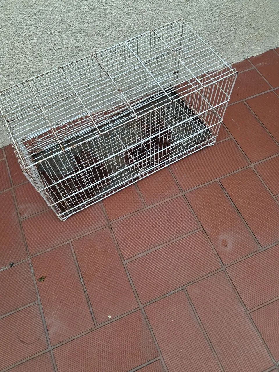 Gaiola grande - Foto 2