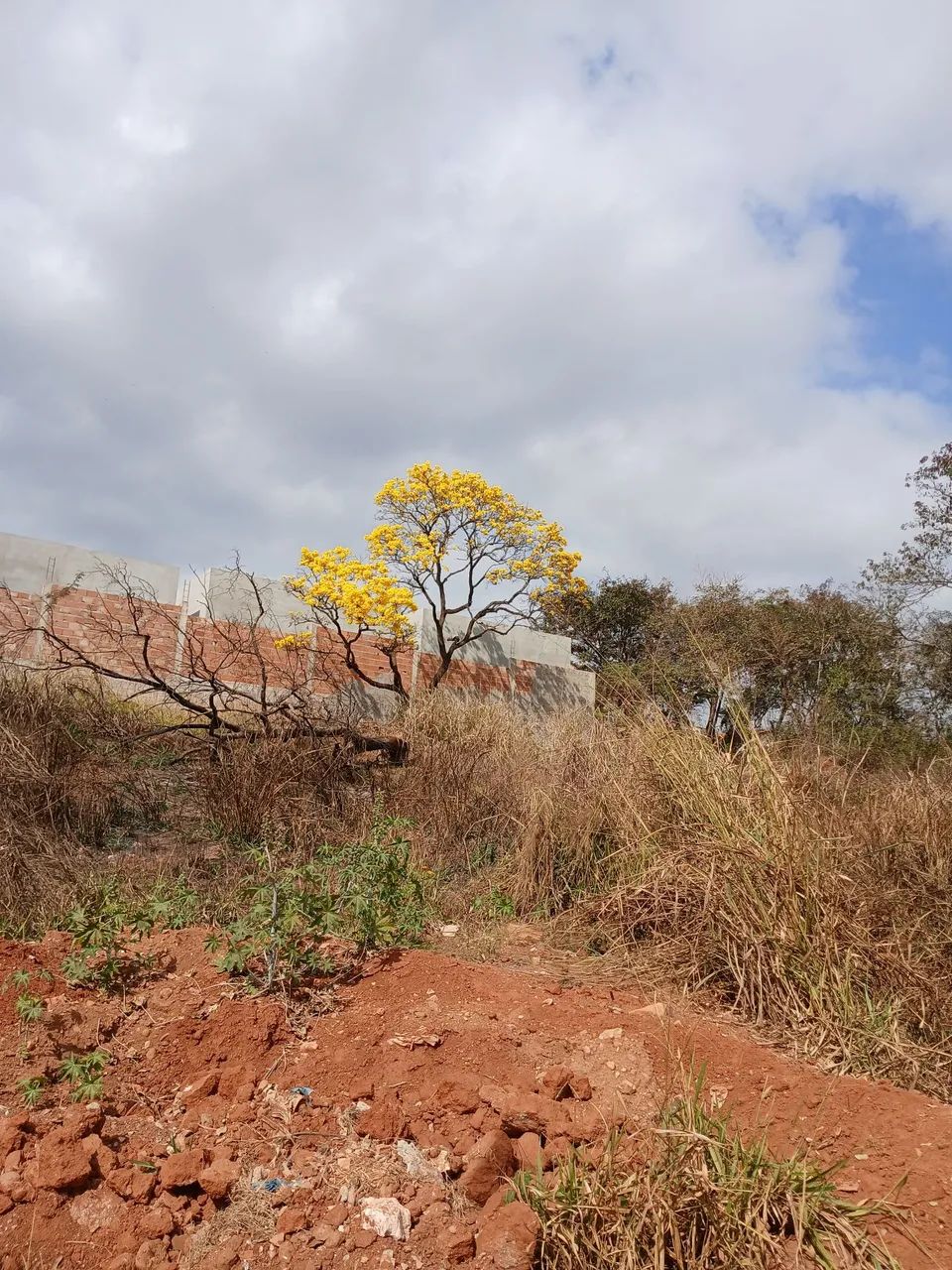 Lote de esquina