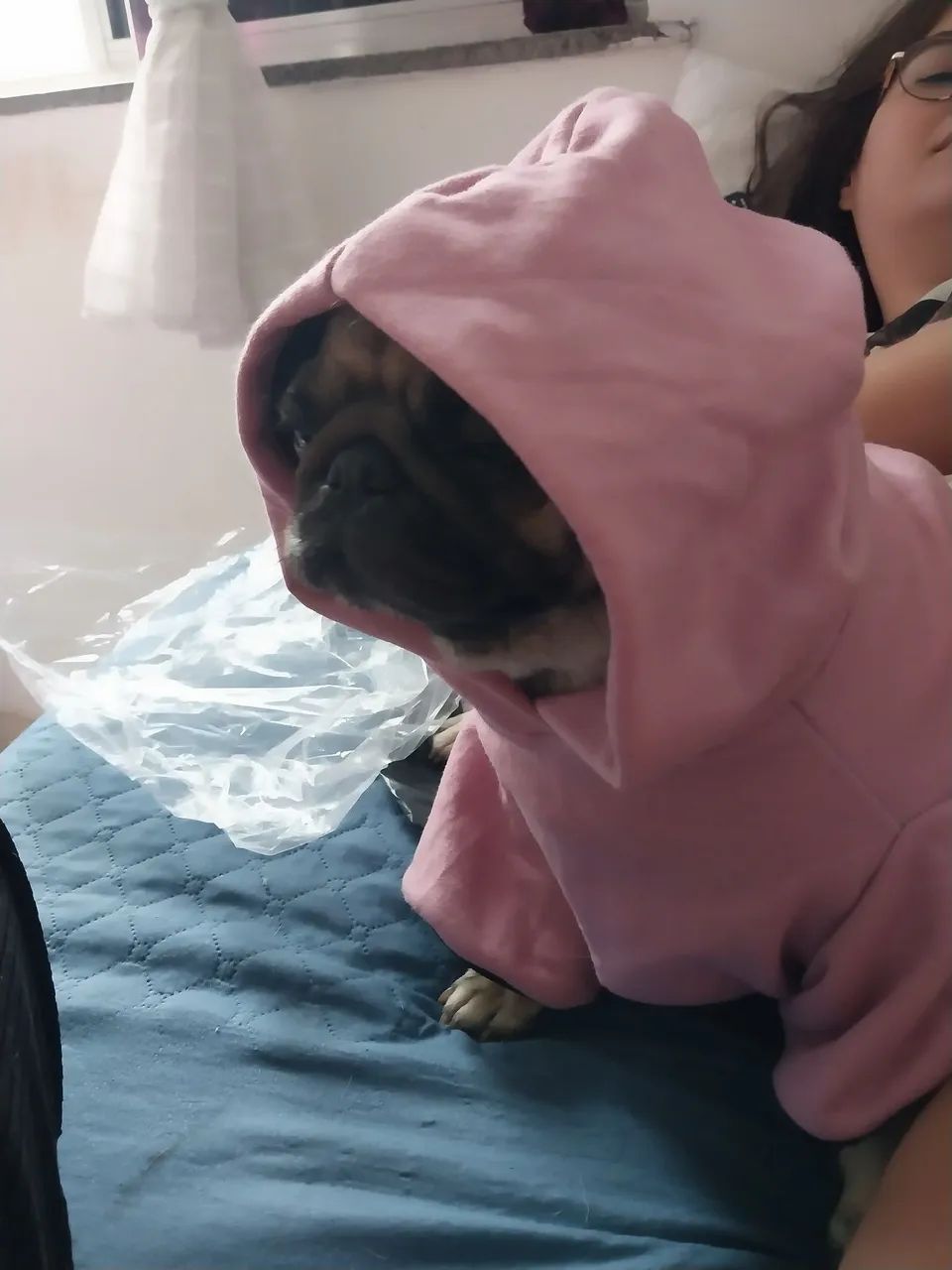 Moletom Canino Novo - Foto 2