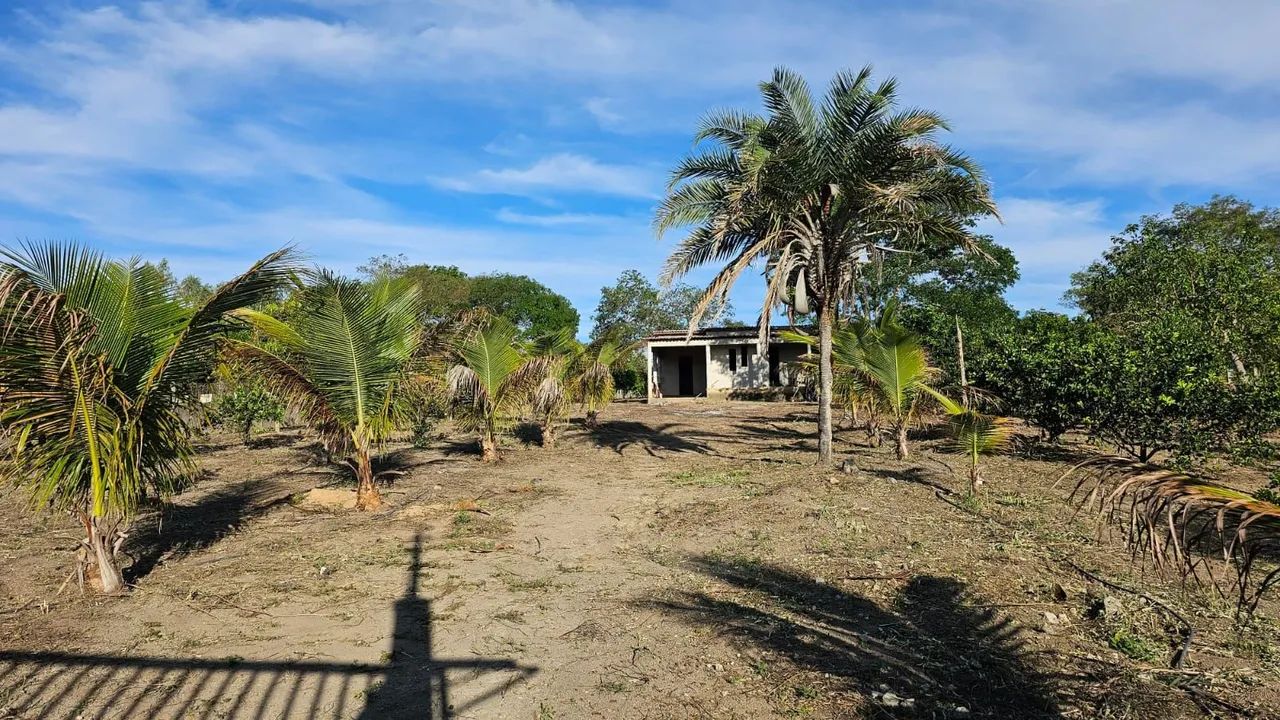 Chácara  - Foto 2