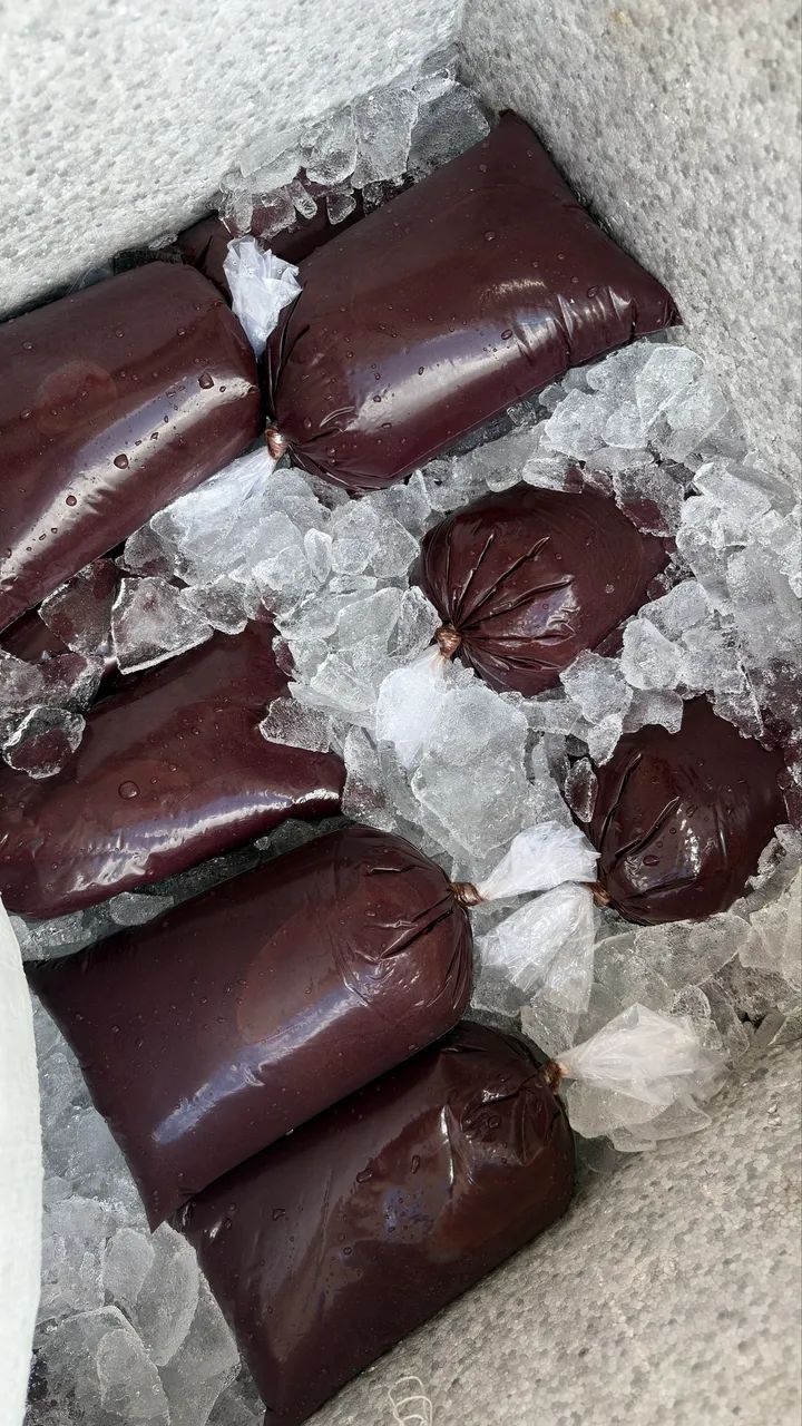 Açaí pra revenda a partir de 50 unidades