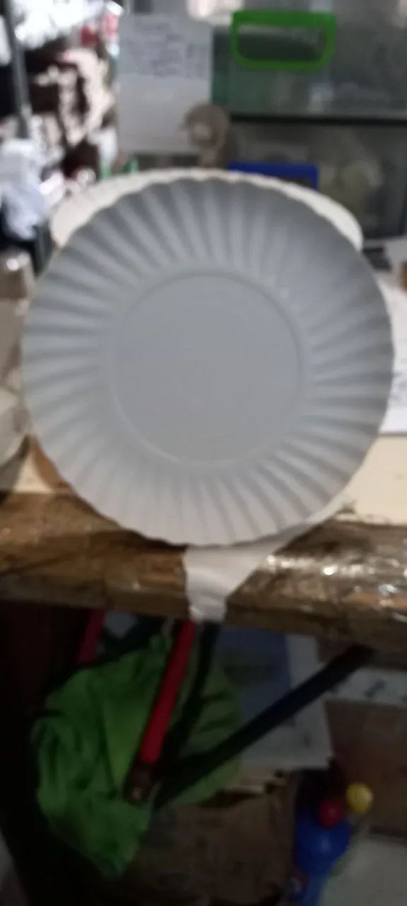 Prato de papelão  n4 c/100 unidades - Foto 2