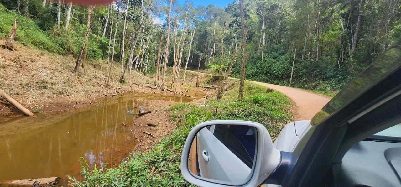 Domingos Martins, Rota dos Ipês! - Foto 2