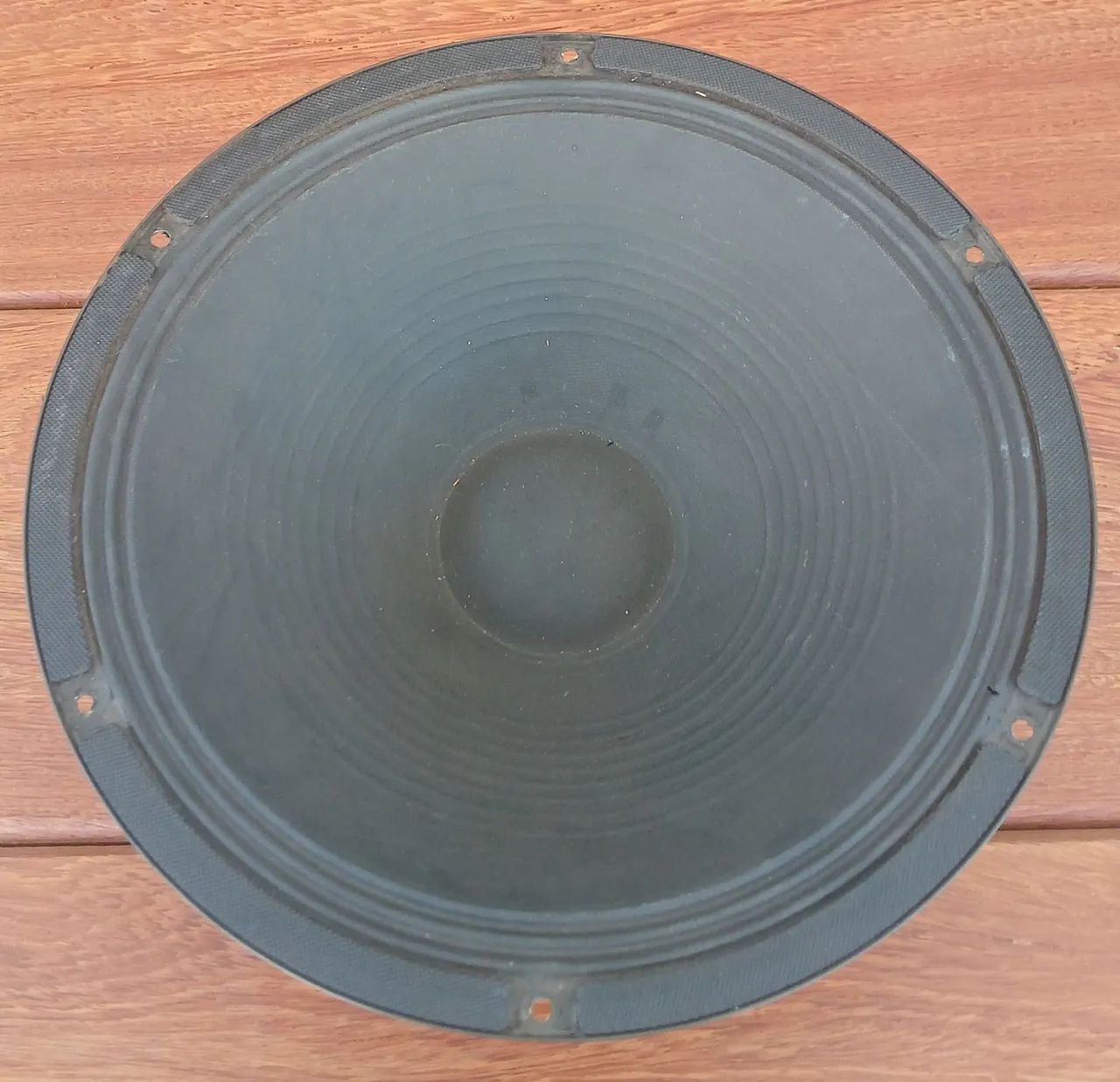 Alto Falante 12" com grade de proteção 