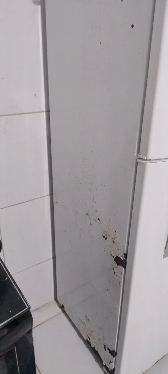 Usado - Foto 3