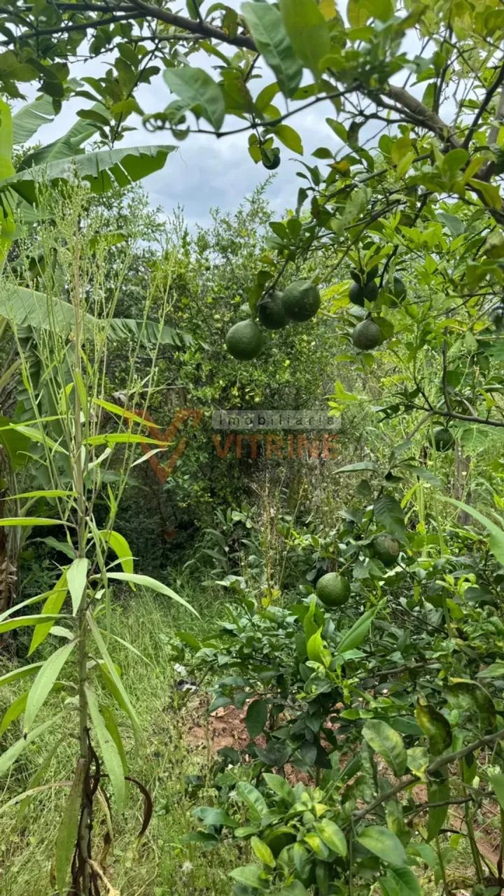 Imóvel à Venda | Sítio  Morro do Cedro | Rio Manso/MG - Foto 5