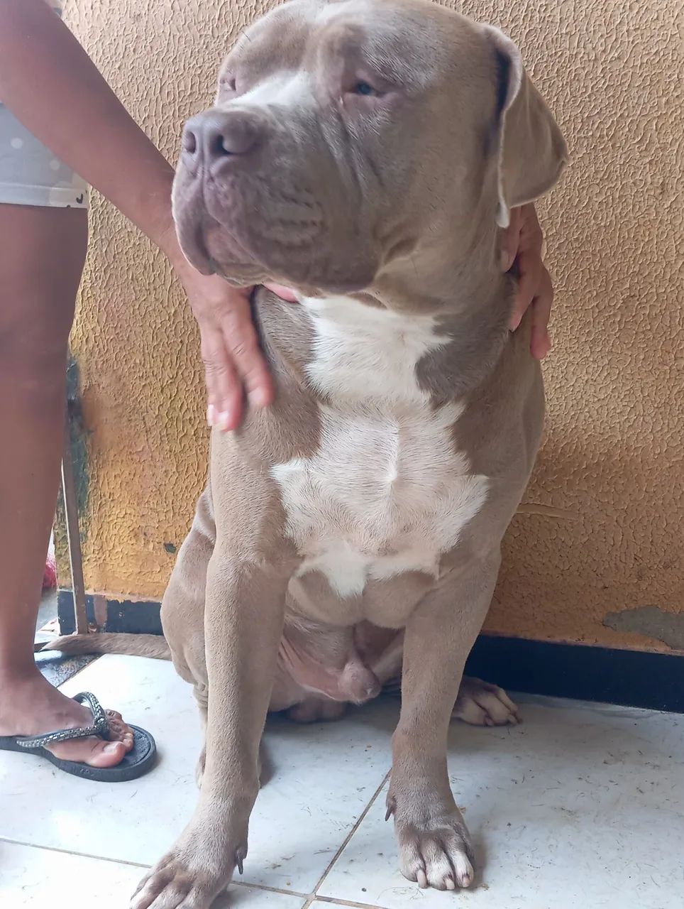 Vende-se  - Foto 3