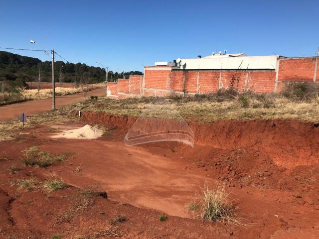 Terreno à venda em Cidade nova, Passo fundo cod:10072 - Foto 17