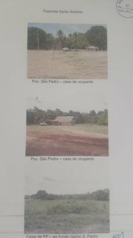 Vendo Área em Fernando Falcão Excelente pra Gado e Agricultura - Foto 2