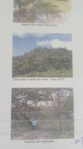 Vendo Área em Fernando Falcão Excelente pra Gado e Agricultura