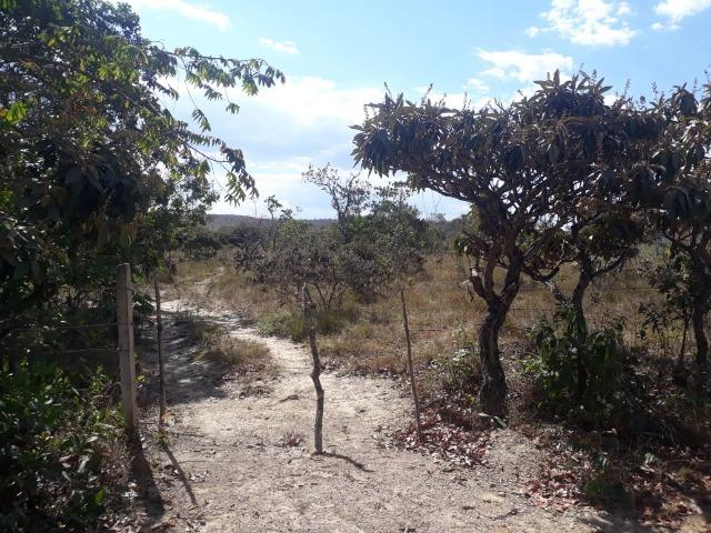 Vendo chácara em Luziânia, a 4 km do asfalto, aceito carro - Foto 2