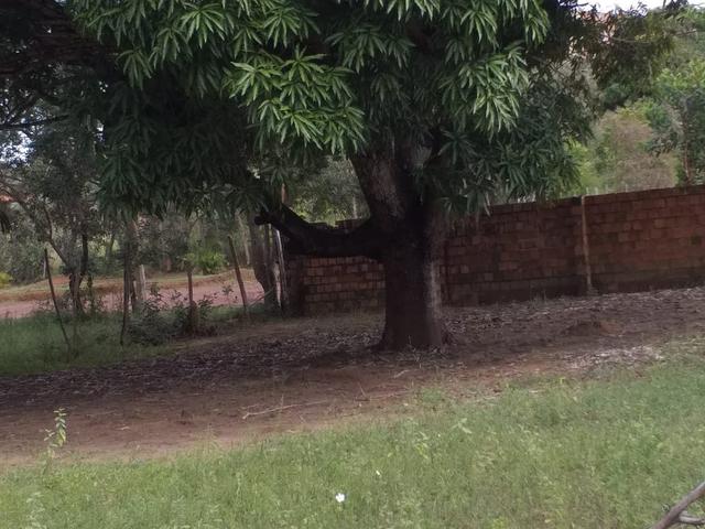Lindo sítio - Foto 3