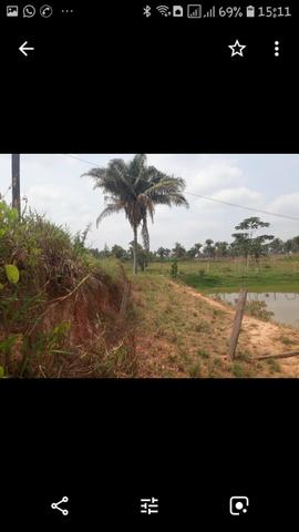 Sítio com 3 Alqueires, 17 km de Imperatriz, * - Foto 12