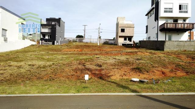 Terreno, Protásio Alves, Porto Alegre-RS - Foto 2