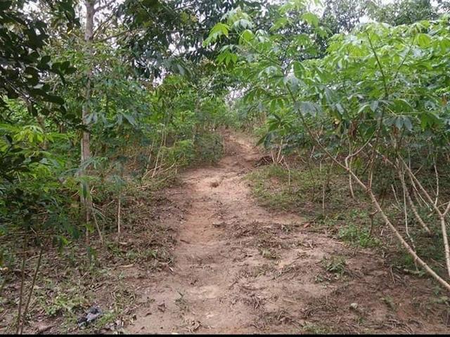 Vendo um pólo,localizado no 102 da estrada de Sena Madureira, 4 km de ramal