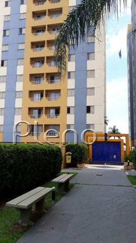 Apartamento à venda com 3 dormitórios em Bonfim, Campinas cod:AP008615 - Foto 18