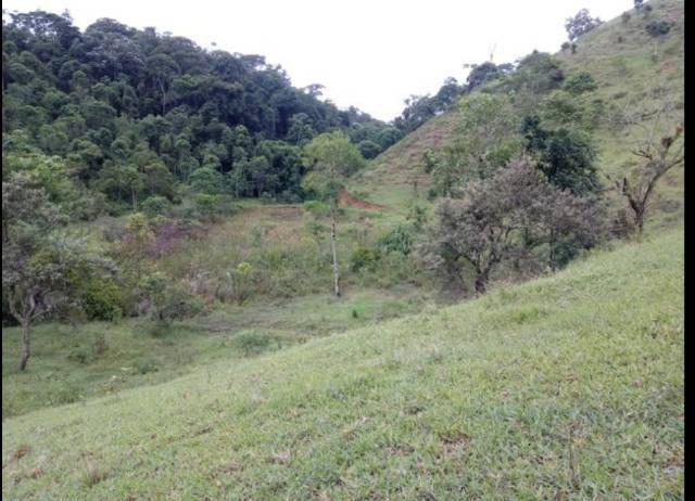 Vendo terreno de 4 alqueires em Ribeirão, Vargem Alta - Foto 5
