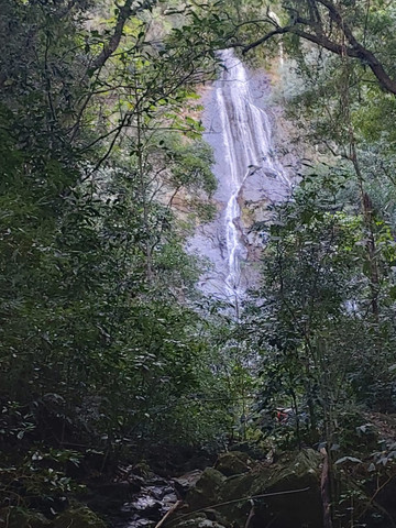 Condomínio rural na serra gaúcha - Foto 5