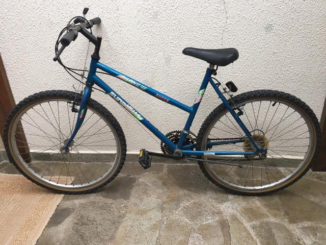 Bicicleta feminina