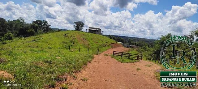 Fazenda 62 Alqueires  Oportunidade Próximo a Palmas - Foto 5