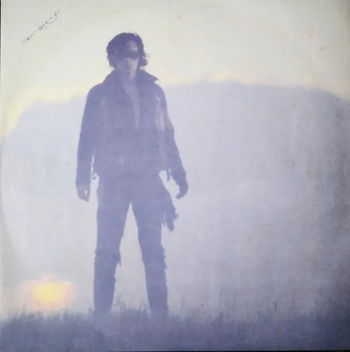LP The Sisters of mercy - Floodland - Foto 2