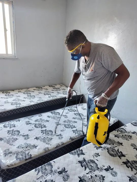 DEDETIZAÇÃO PROFISSIONAL PRAGAS DO EGITO - Foto 2