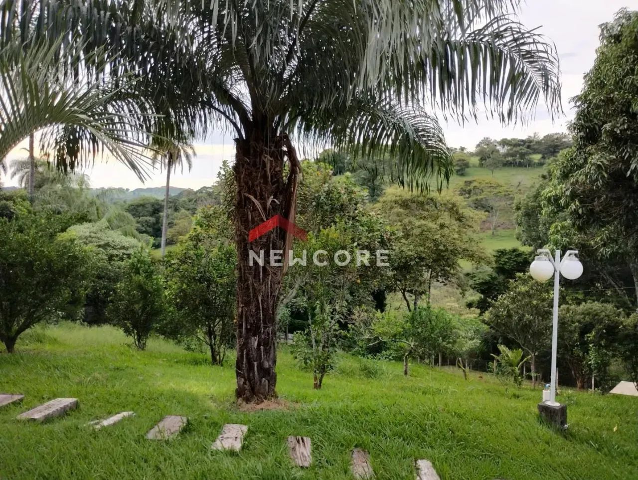 Sítio em Rua Nossa Senhora de Fátima - Angicos - Vespasiano/MG - Foto 7