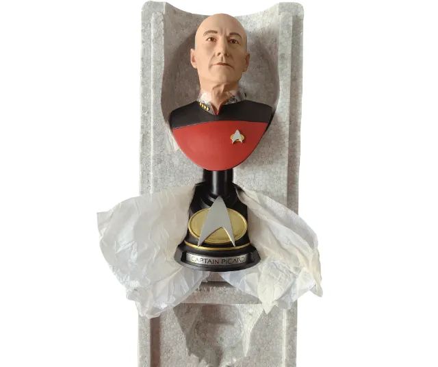 Star Treck Busto Captain Picard - Limited Edition Bust - Foto 2